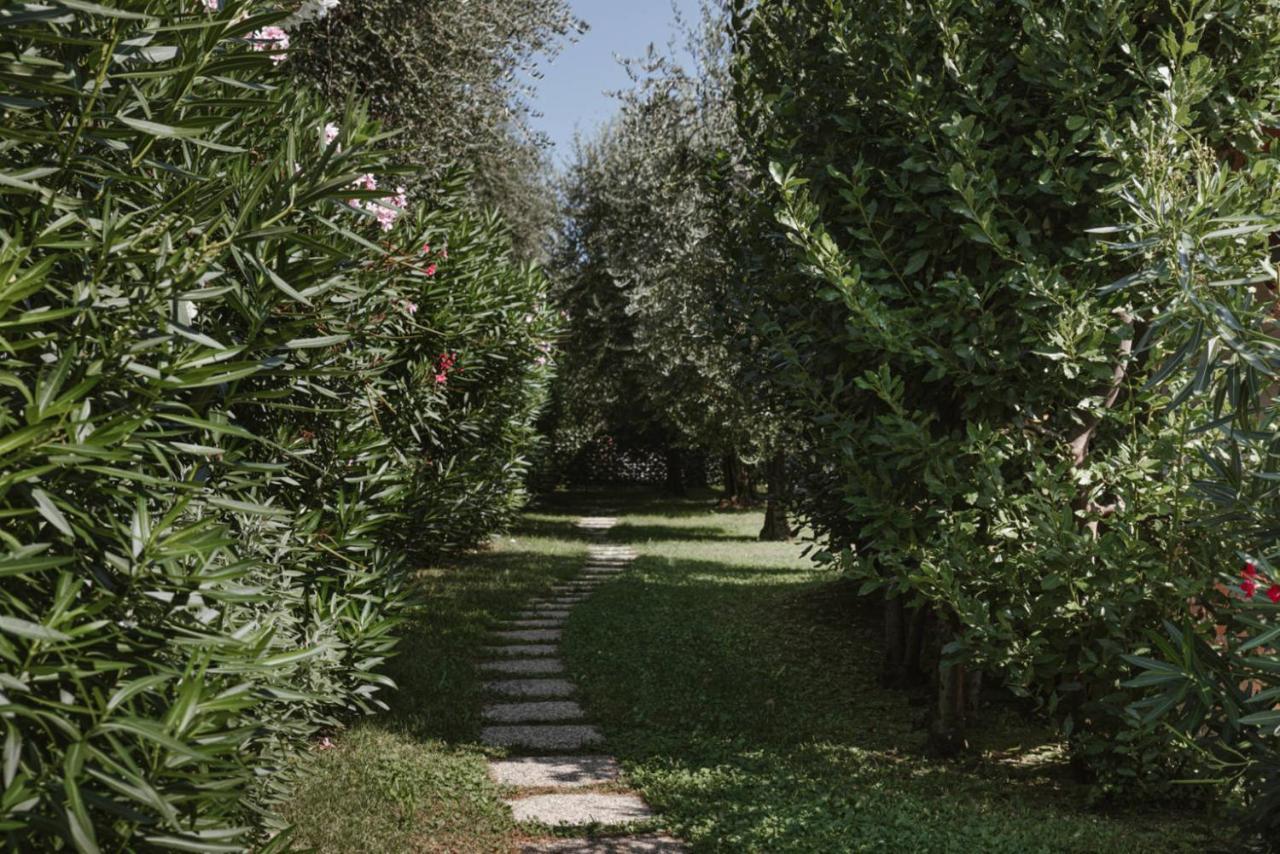 App. Mimosa Minerva Holiday Home Manerba del Garda Ngoại thất bức ảnh